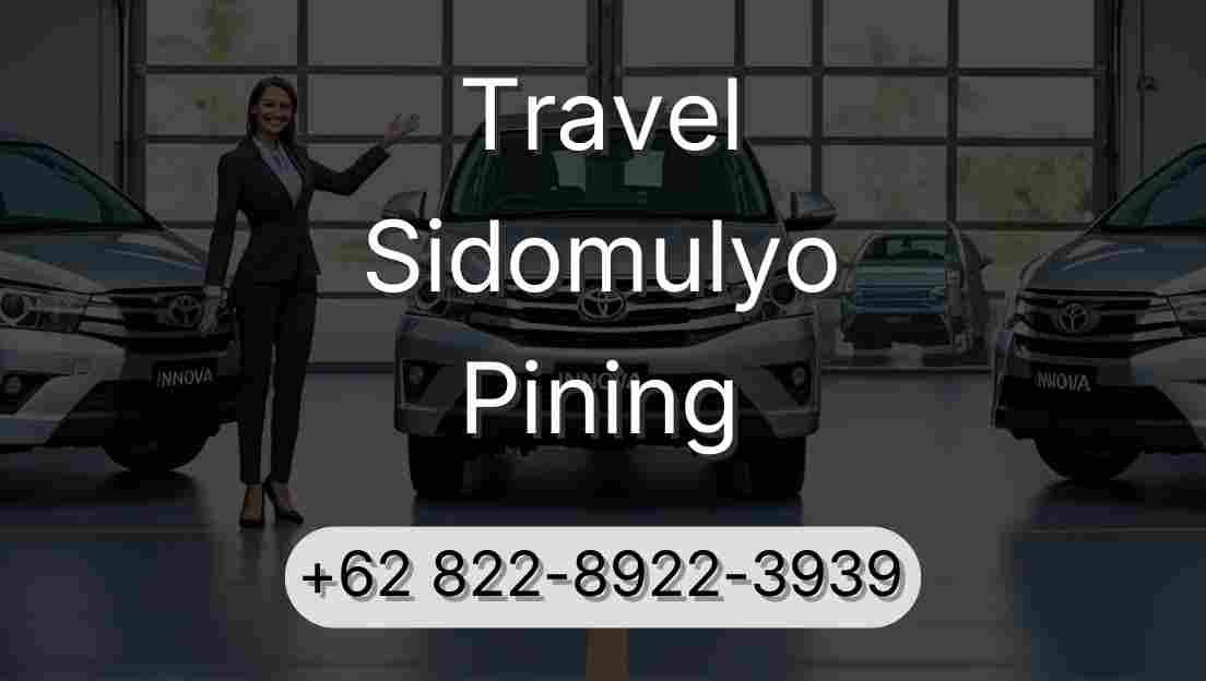 Travel Sidomulyo Pining