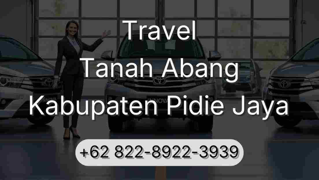 Travel Tanah Abang Kabupaten Pidie Jaya