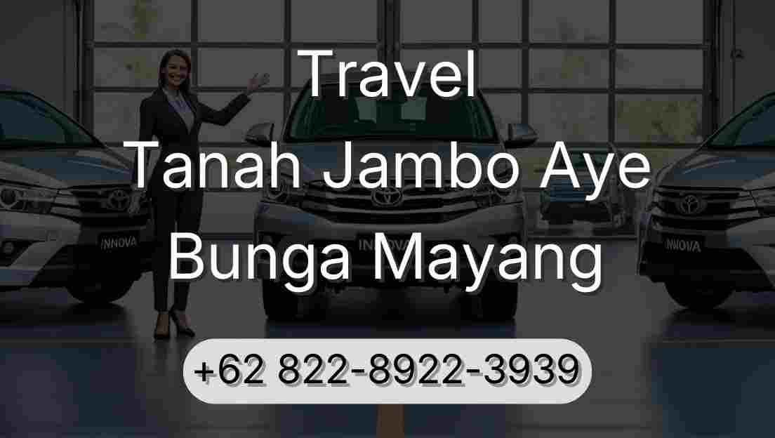 Travel Tanah Jambo Aye Bunga Mayang