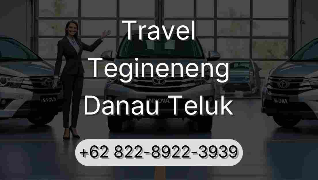 Travel Tegineneng Danau Teluk