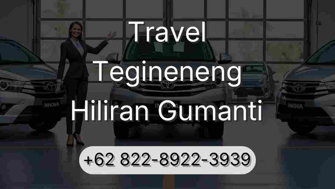 Travel Tegineneng Hiliran Gumanti