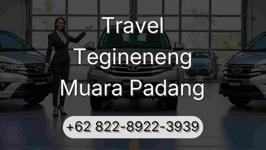 Travel Tegineneng Muara Padang