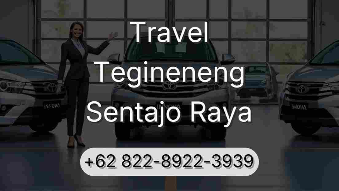 Travel Tegineneng Sentajo Raya