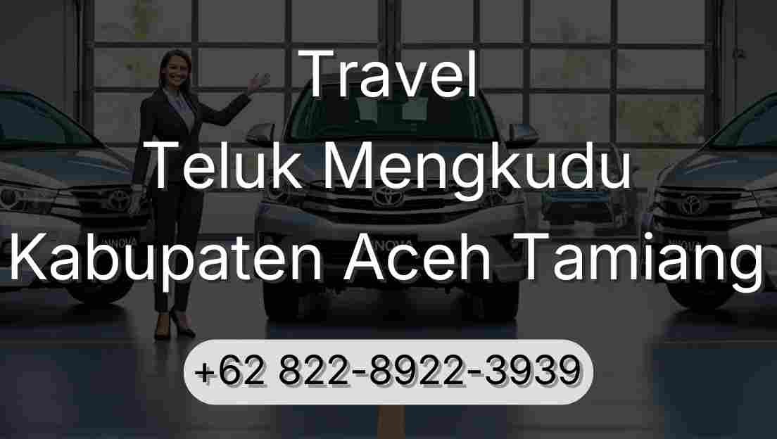 Travel Teluk Mengkudu Kabupaten Aceh Tamiang