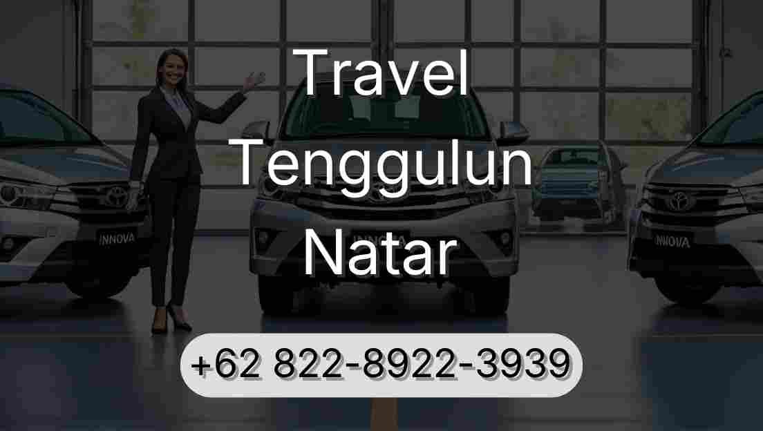 Travel Tenggulun Natar