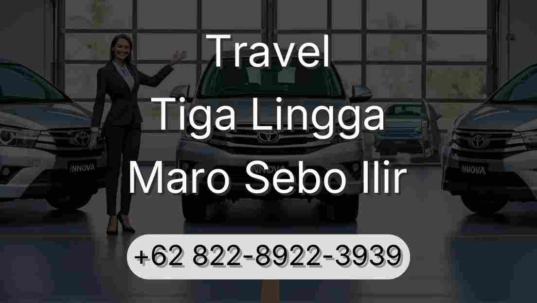 Travel Tiga Lingga Maro Sebo Ilir