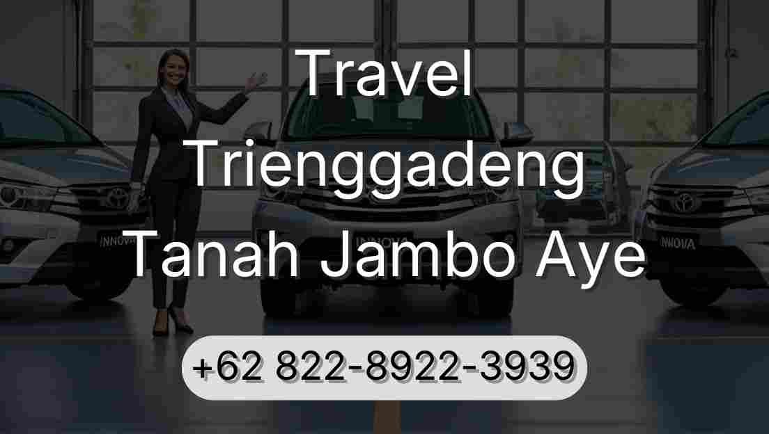 Travel Trienggadeng Tanah Jambo Aye