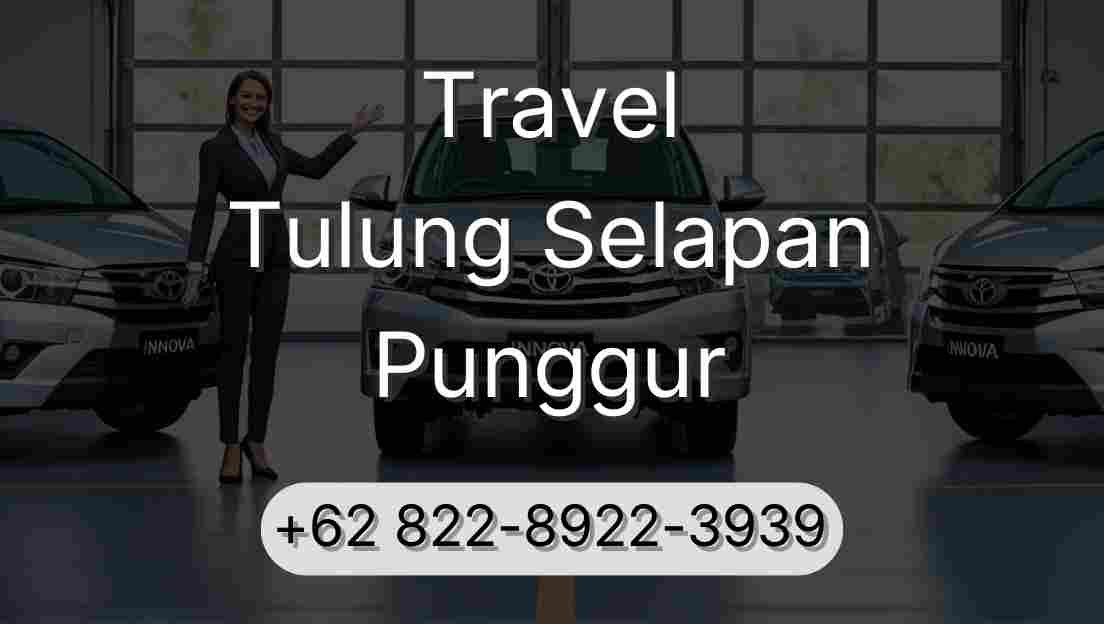 Travel Tulung Selapan Punggur