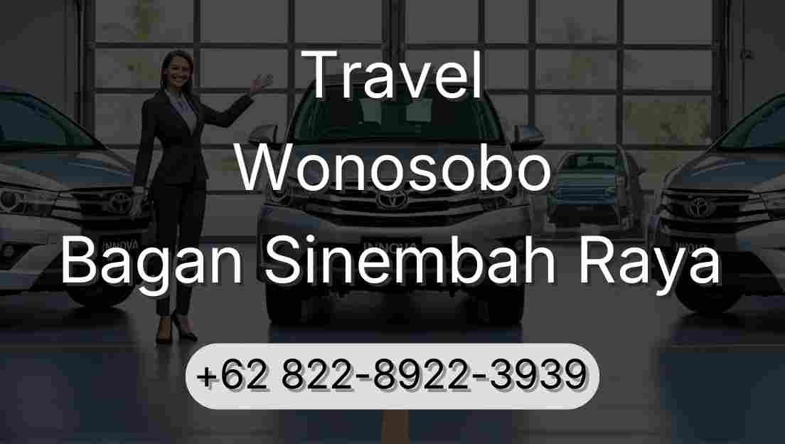 Travel Wonosobo Bagan Sinembah Raya